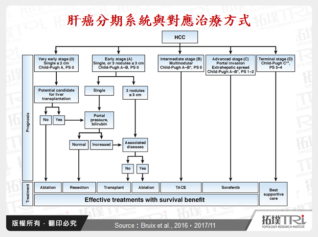 肝癌分期系統與對應治療方式