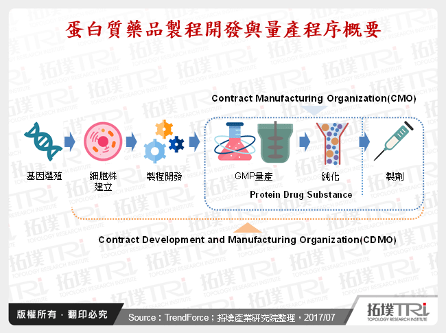 蛋白質藥品製程開發與量產程序概要
