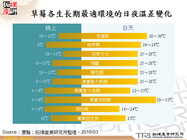 草莓各生長期最適環境的日夜溫差變化
